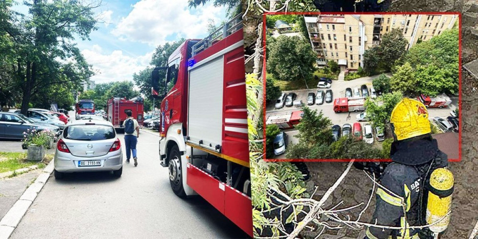 Požar u Beogradu: Na mesto incidenta stiglo više vatrogasnih vozila